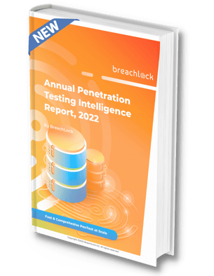 Annual Pentest Report